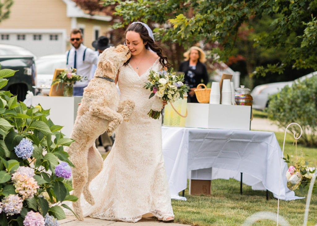 Bride walking down aisle with dog kissing bride